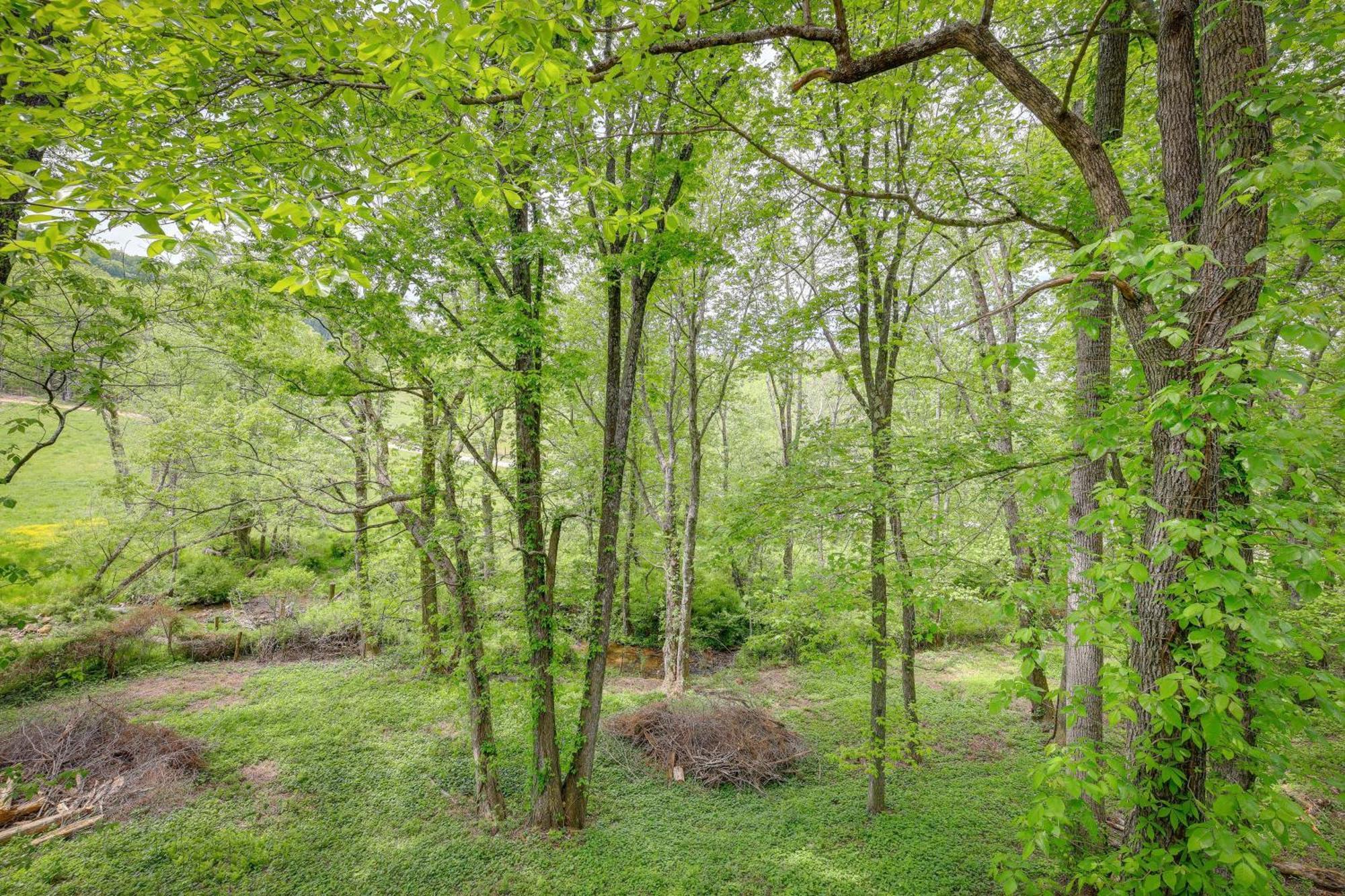 Quaint Blue Ridge Cabin Rental With On-Site Stream! Sparta Eksteriør bilde